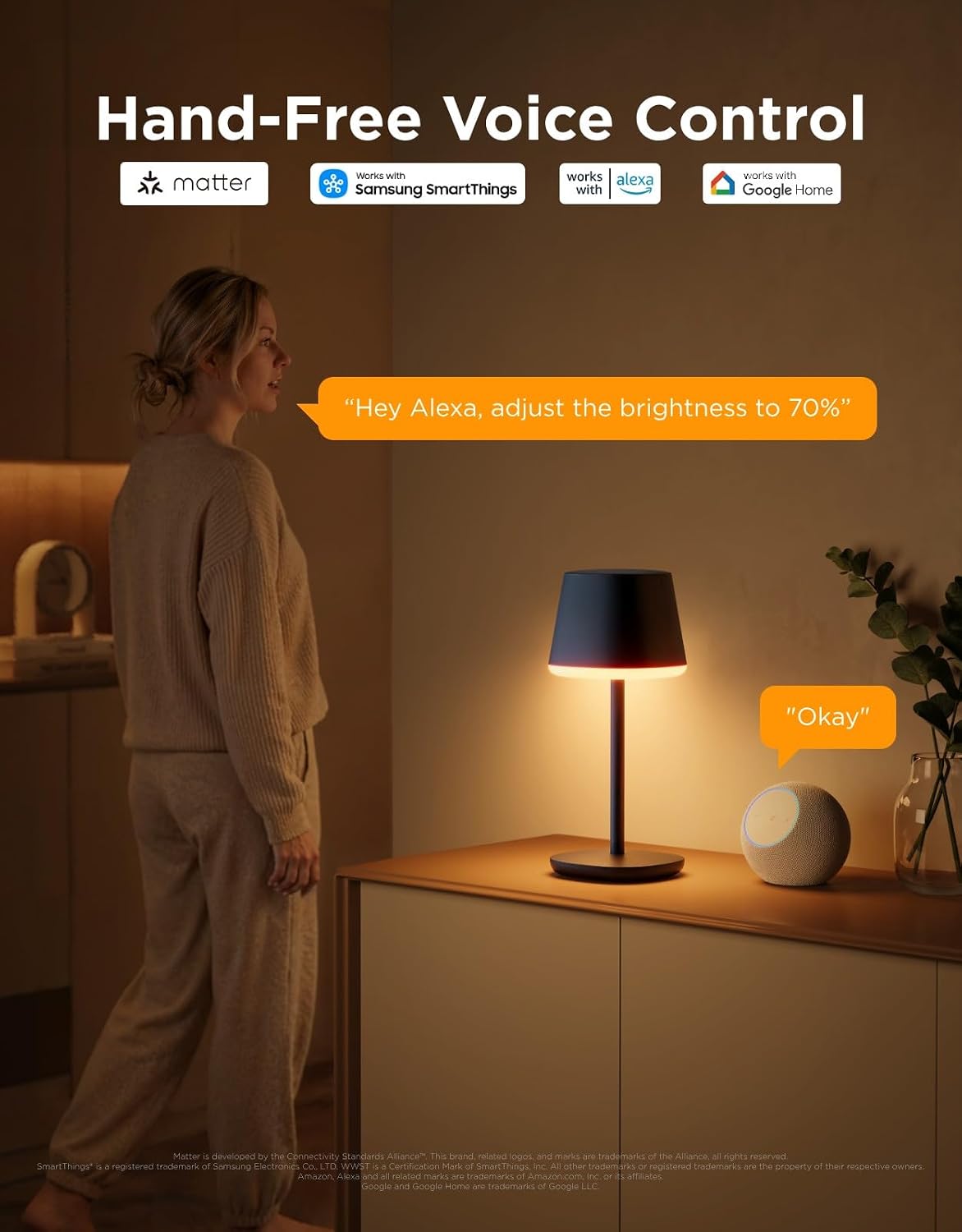 Govee Smart Cordless Table Lamp Classic RGBIC H1741
