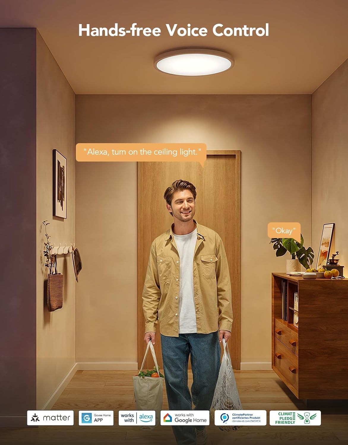 Govee Smart Ceiling Light 2400LM RGBIC 30cm H60A1