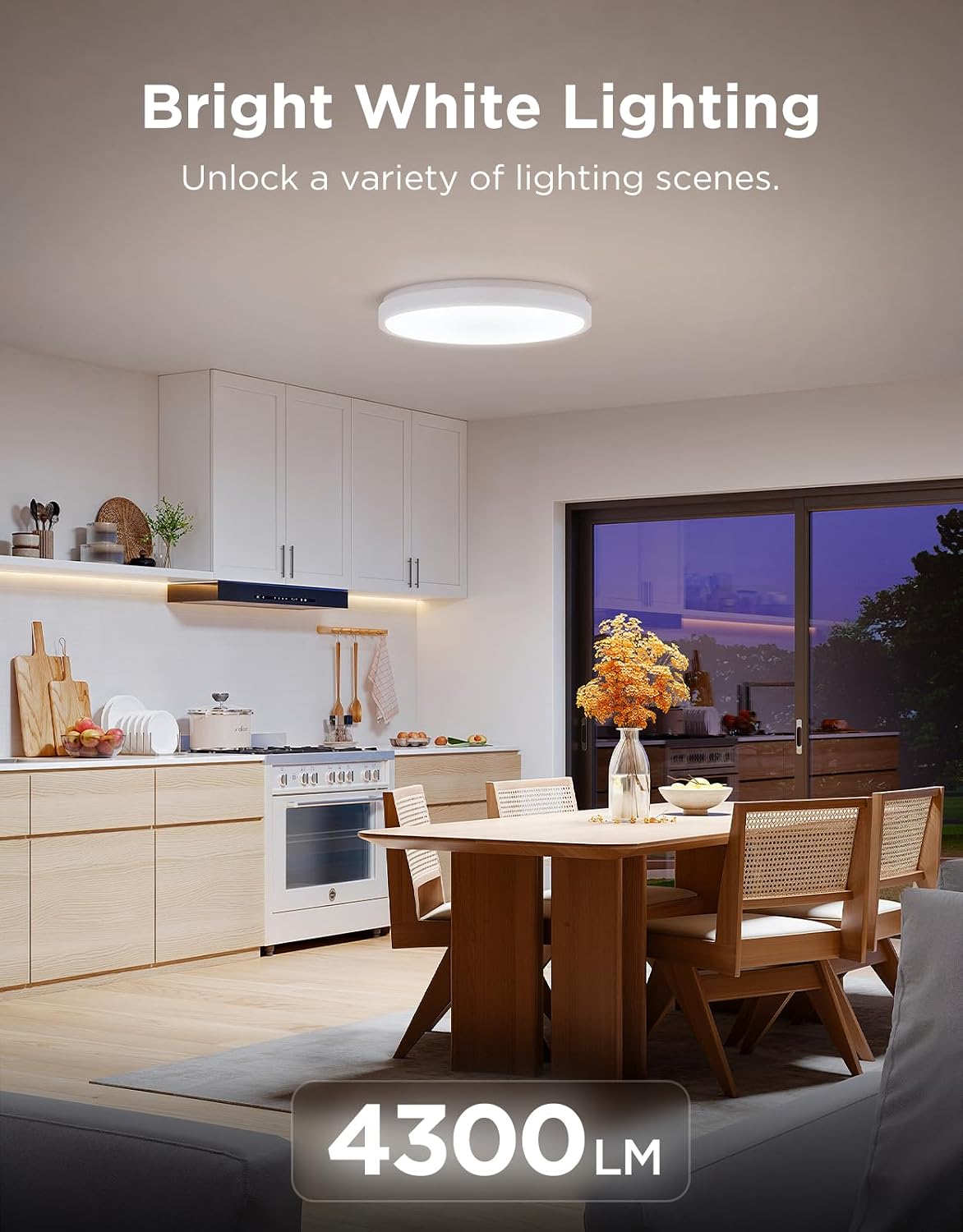 Govee Smart Ceiling Light Pro 4300LM RGBIC 15-Inch H60A6