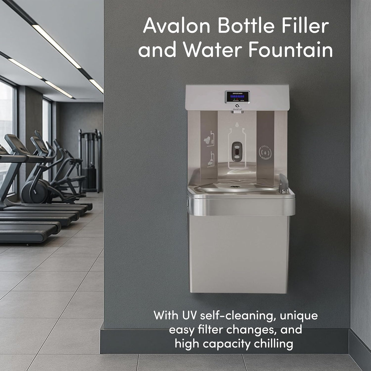 Avalon Wall Mounted Water Fountain Dispenser Stainless Steel A51