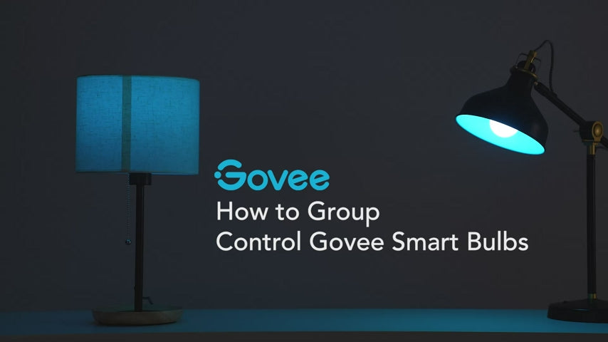 Govee A19 Smart LED Light Bulbs 800-Lumen 2-Pack H6008